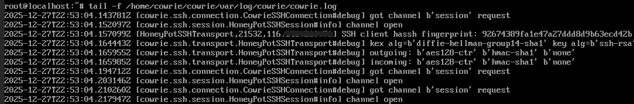 Cowrie Attack Sessions